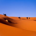 Questo tour di 15 giorni in Marocco con ZagoraExperience è un'opportunità unica per esplorare la ricchezza culturale, storica e naturale del paese. Dal fascino delle città imperiali come Marrakech e Fes, alle maestose catene montuose dell'Atlante, fino alle affascinanti dune del deserto del Sahara e alle coste ventose di Essaouira, ogni tappa offre un'esperienza indimenticabile.