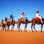Camel Trekking tour Experience 2 Notti a Erg Chebbi 2025