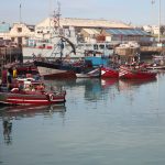 Tour città imperiali da Casablanca 8 giorni / Un vivace porto peschereccio in Marocco, con diverse barche colorate attraccate nell'acqua calma. Sullo sfondo si vedono edifici industriali e un grande peschereccio. Le barche, dipinte con strisce rosse e bianche, aggiungono un tocco pittoresco alla scena, mentre i pescatori preparano il loro lavoro quotidiano. Il cielo sereno e la luce del giorno illuminano l'intera area, creando un'atmosfera tranquilla e operosa. Questa immagine cattura l'essenza della vita portuale marocchina e il legame forte tra la comunità locale e il mare Il Marocco è una terra di contrasti, tra natura e cultura, e tra i diversi terreni del mare, del deserto e delle montagne. Vai a Marrakech e goditi la “Città Rossa”, i Giardini della Koutoubia e la famosa e festosa piazza Jemaa El Fna. Da lì, dirigiti verso Fès o Meknès, ma non trascurare i grandi siti lungo il percorso: Azilal, Beni Mellal, le Cascate di Ouzoud, il Lago Bin El Ouidane e Ifrane, conosciuta come la “Piccola Svizzera” per la sua architettura e la foresta di cedri. Goditi le città imperiali passeggiando per la medina di Fès e passando attraverso la Porta Bab Mansour a Meknès. Poi visita le famose rovine di Volubilis a pochi chilometri di distanza anche Tour Marocco da Casablanca 2025