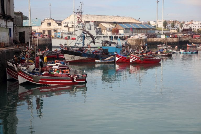 Tour città imperiali da Casablanca 8 giorni - Bab Mansour Meknes Città Imperiale - Viaggio Organizzato in Marocco 6 Tour privato su misura