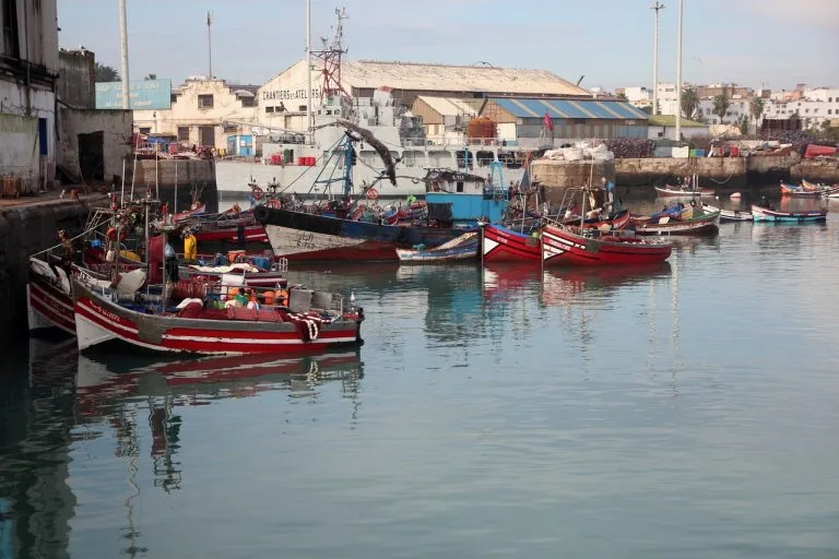 Tour città imperiali da Casablanca 8 giorni - Bab Mansour Meknes Città Imperiale - Viaggio Organizzato in Marocco 6 Tour privato su misura