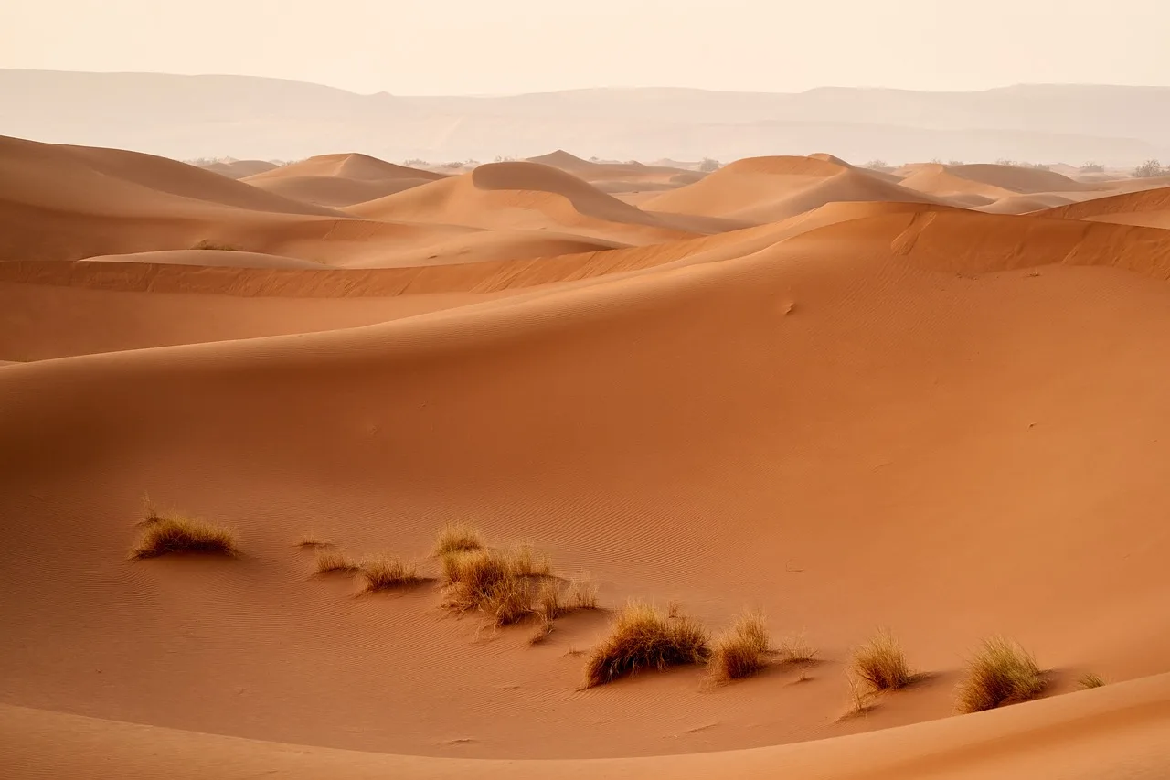 Este tour de las Ciudades Imperiales de Marruecos y del Desierto, ofrecido por ZagoraExperience, representa una oportunidad única para sumergirse en la rica historia y cultura de Marruecos, combinando la majestuosidad de las ciudades imperiales con la belleza impresionante del desierto del Sahara. Cada etapa del viaje ofrece una experiencia diferente, desde las fascinantes medinas de Fez y Marrakech, hasta las espectaculares dunas de arena de Merzouga y los impresionantes paisajes de las Gargantas del Todra. Descubrirás la vibrante cultura de las ciudades imperiales, admirarás la arquitectura histórica y te perderás en los souks tradicionales. La travesía por el desierto ofrecerá una aventura inolvidable, con la posibilidad de explorar antiguas kasbahs, exuberantes oasis y pintorescos pueblos bereberes. Este tour es perfecto para quienes buscan una combinación de historia, cultura y aventura, dejándote con recuerdos duraderos y un profundo aprecio por la diversidad y belleza de Marruecos. Reserva hoy con ZagoraExperience y prepárate para vivir una aventura extraordinaria a través del vibrante corazón de Marruecos y sus maravillas naturales.