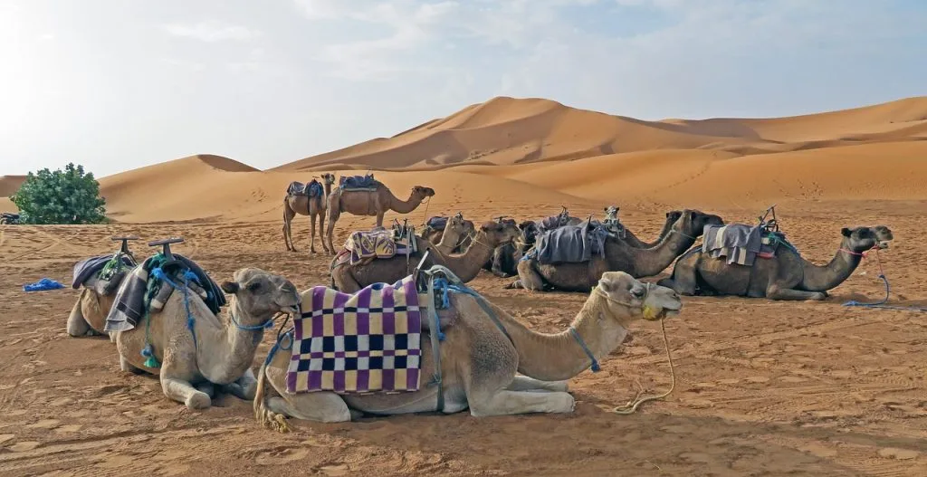 Tour da Agadir al deserto 3 giorni Valle Draa Erg Chebbi