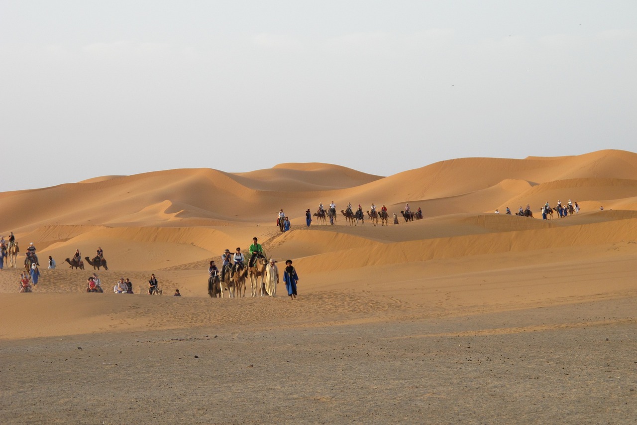 Tour from Marrakech 2 days 1 nights to Merzouga Desert