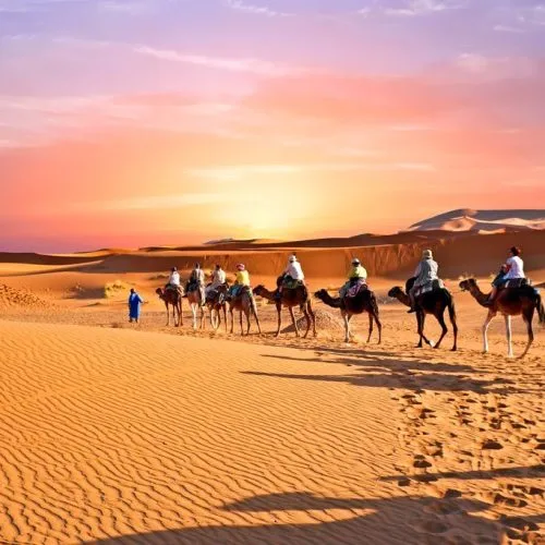 Tour Marrakech desert oasis palm grove - Casablanca 8 days Essaouira
