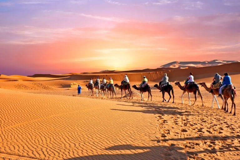 Explora la magia de Marruecos con nuestro tour de 8 días y 7 noches que te llevará desde las vibrantes calles de Marrakech hasta las majestuosas dunas del desierto. Este fascinante viaje te guiará a través de las ciudades imperiales (como Fez y Marrakech), las oasis escondidas y las espectaculares formaciones naturales del país. Descubre la cultura bereber y marroquí, visita las históricas kasbahs y déjate cautivar por la belleza inigualable del desierto. Una experiencia inolvidable que combina aventura, relax e inmersión cultural en un solo paquete. Tour desde Marrakech Marruecos 2025