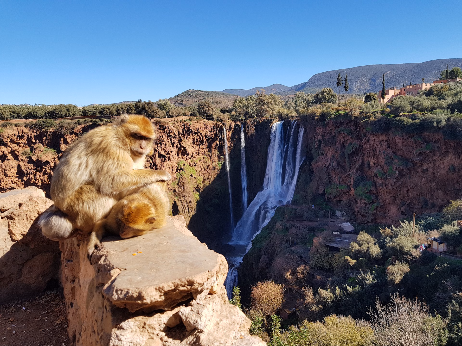 Cascate Ouzoud 110M