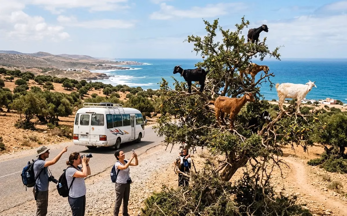 Escursione da Marrakech a Essaouira visita guidata Zagora Experience