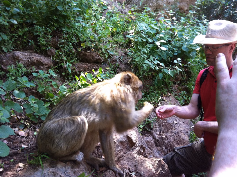 Excursion Marrakech Cascades Douzoud En Groupe