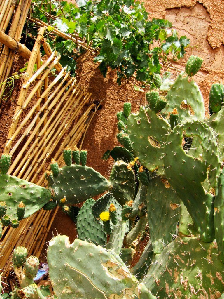 Tour from Marrakech to Erg Chegaga Desert - Handia pottery Tamegroute private tour Marrakech desert Erg Chegaga English