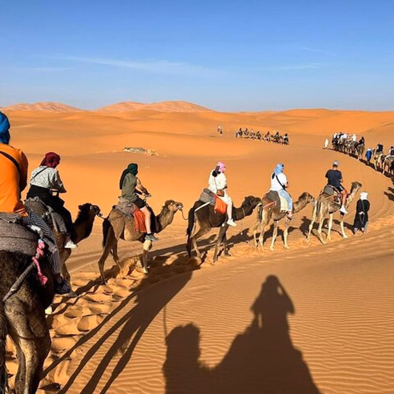 Fez deserto viaggio
